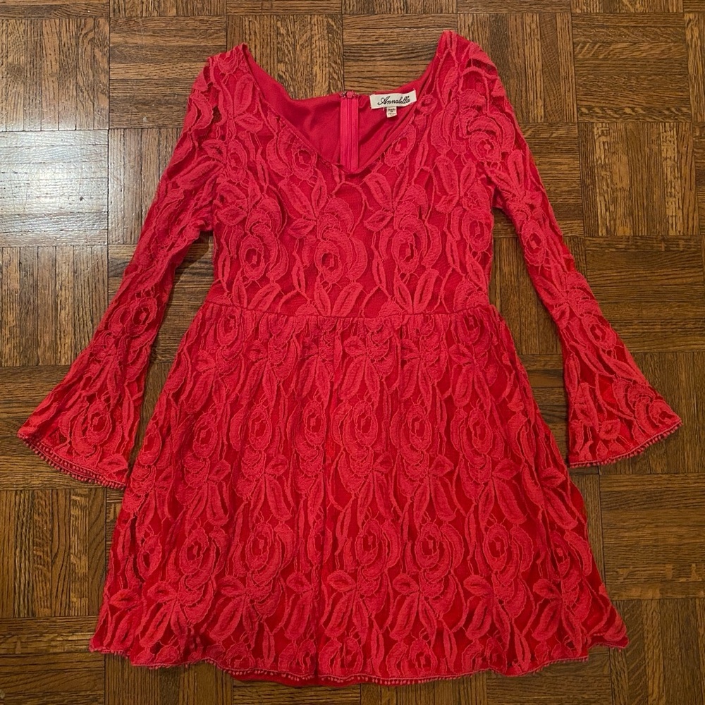 Francesca’s Collections Lace Long Sleeve V-Neck Dress